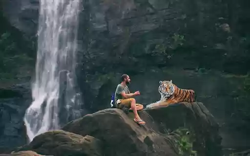 man and tiger  from Chrome web store to be run with OffiDocs Chromium online