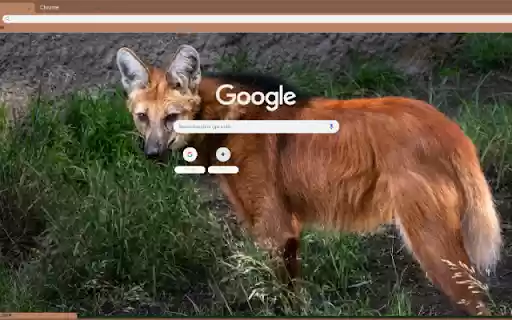 Maned Wolf  from Chrome web store to be run with OffiDocs Chromium online