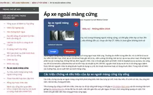 MedDict Highlighter  from Chrome web store to be run with OffiDocs Chromium online