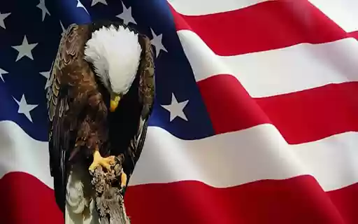 Memorial Day Browser Theme  from Chrome web store to be run with OffiDocs Chromium online