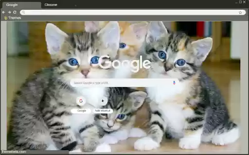 Meo  from Chrome web store to be run with OffiDocs Chromium online