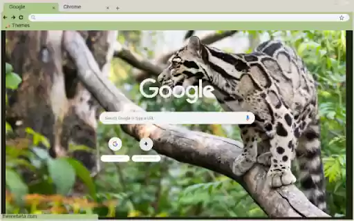 Meo Rung  from Chrome web store to be run with OffiDocs Chromium online