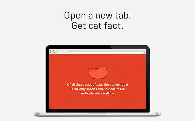 MeowMeowFacts from Chrome web store to be run with OffiDocs Chromium online MeowMeowFacts from Chrome web store to be run with OffiDocs Chromium online