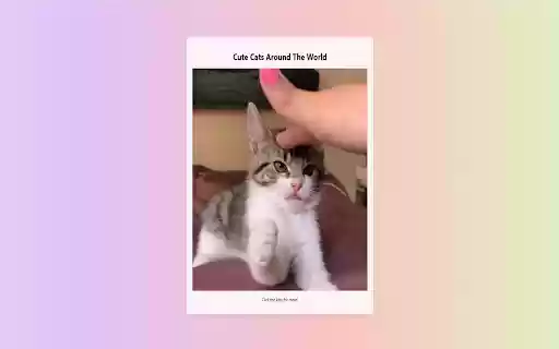 Meow Tab  from Chrome web store to be run with OffiDocs Chromium online