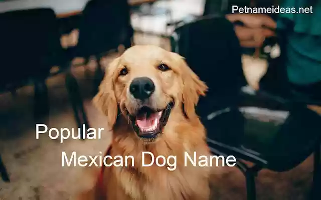 Mexican Dog Names  from Chrome web store to be run with OffiDocs Chromium online