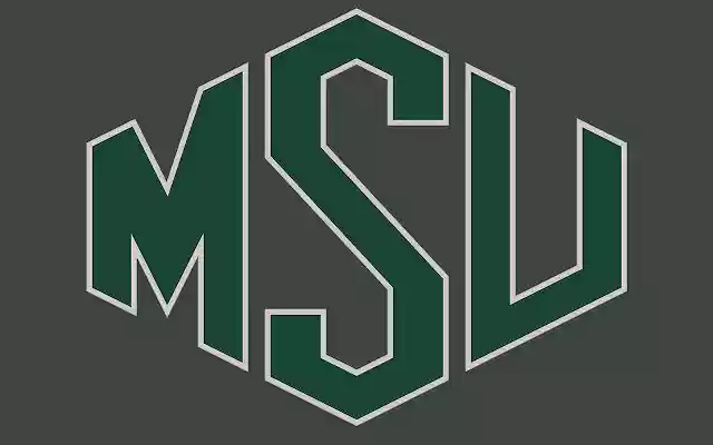 Michigan State Green de la boutique en ligne Chrome sera exécuté avec OffiDocs Chromium en ligne