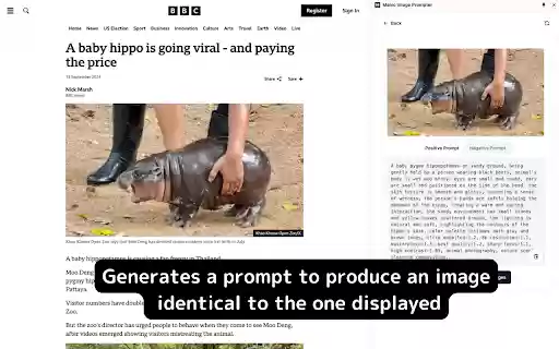MimicIt Image Prompter  from Chrome web store to be run with OffiDocs Chromium online