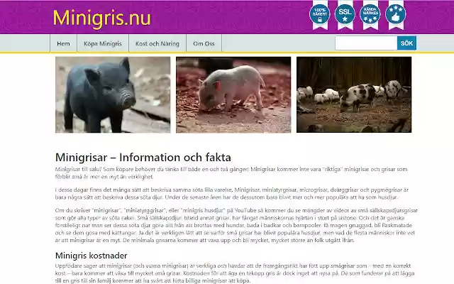 Minigris.nu from Chrome web store to be run with OffiDocs Chromium online Minigris.nu from Chrome web store to be run with OffiDocs Chromium online