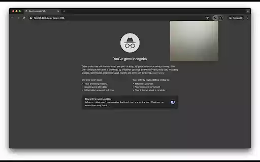 MirrorMe  from Chrome web store to be run with OffiDocs Chromium online