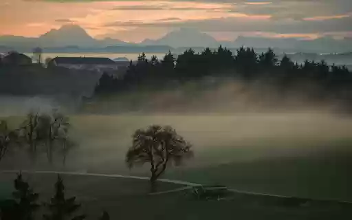 Mist covers green fields  from Chrome web store to be run with OffiDocs Chromium online