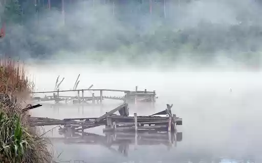 Mist river and forest  from Chrome web store to be run with OffiDocs Chromium online