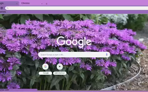 Monarda  from Chrome web store to be run with OffiDocs Chromium online
