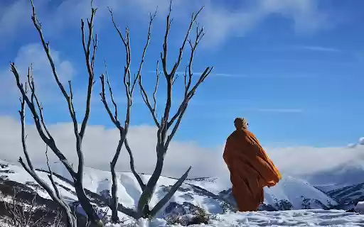 Monk on the snowy mountain  from Chrome web store to be run with OffiDocs Chromium online