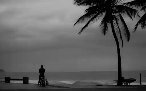 Monochrome Photo of Person Standing on Seashore  from Chrome web store to be run with OffiDocs Chromium online