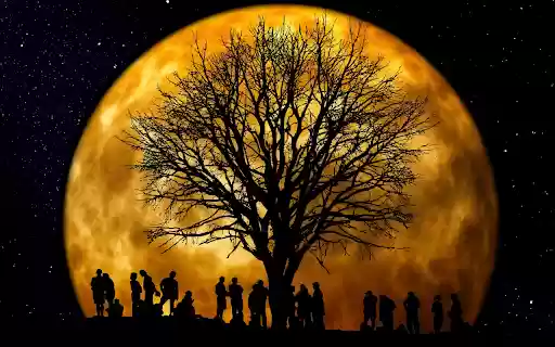 Moonlight party from Chrome web store to be run with OffiDocs Chromium online Moonlight party from Chrome web store to be run with OffiDocs Chromium online