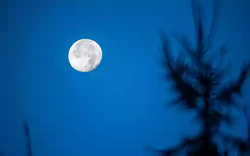 Moonlit night without stars  from Chrome web store to be run with OffiDocs Chromium online