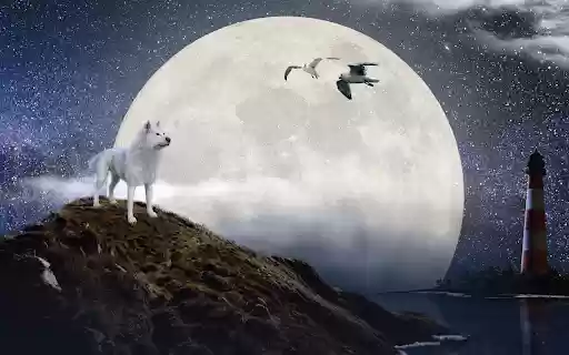 Moon Wolf  from Chrome web store to be run with OffiDocs Chromium online