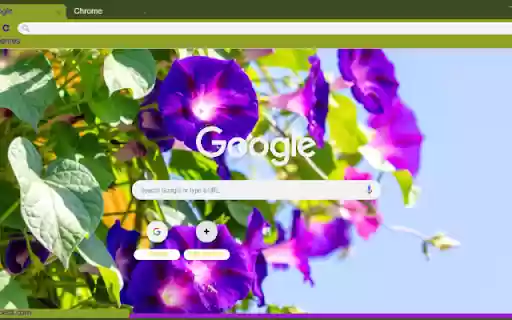 Morning Glory from Chrome web store to be run with OffiDocs Chromium online Morning Glory from Chrome web store to be run with OffiDocs Chromium online