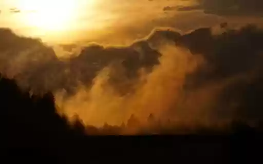 morning sunlight and dew  from Chrome web store to be run with OffiDocs Chromium online