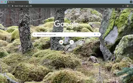 moss stone  from Chrome web store to be run with OffiDocs Chromium online