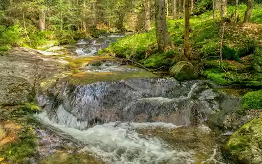 Mossy rock spring from Chrome web store to be run with OffiDocs Chromium online Mossy rock spring from Chrome web store to be run with OffiDocs Chromium online