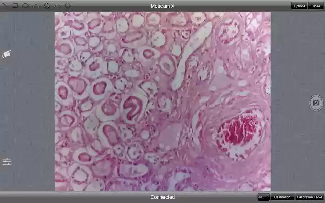 MotiConnect  from Chrome web store to be run with OffiDocs Chromium online