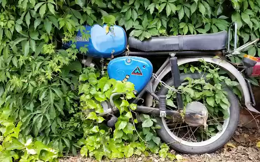 Motorcycle in the bushes  from Chrome web store to be run with OffiDocs Chromium online