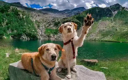 Mountain Adventure Pals  from Chrome web store to be run with OffiDocs Chromium online