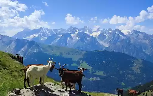 Mountain goats and clouds  from Chrome web store to be run with OffiDocs Chromium online