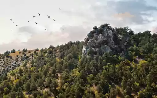 Mountains and hills and birds on the wing from Chrome web store to be run with OffiDocs Chromium online Mountains and hills and birds on the wing from Chrome web store to be run with OffiDocs Chromium online