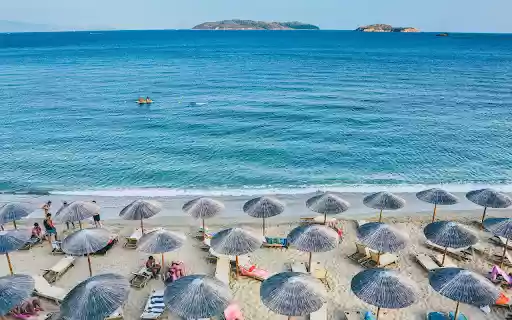 Mushrooms on the beach from Chrome web store to be run with OffiDocs Chromium online Mushrooms on the beach from Chrome web store to be run with OffiDocs Chromium online