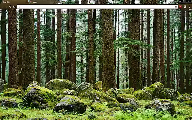 Mystery Forest from Chrome web store to be run with OffiDocs Chromium online Mystery Forest from Chrome web store to be run with OffiDocs Chromium online