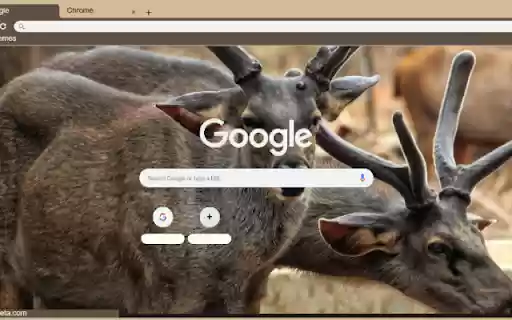 Nai Sambar  from Chrome web store to be run with OffiDocs Chromium online