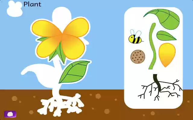 Naming Parts of Animals and Plants  from Chrome web store to be run with OffiDocs Chromium online