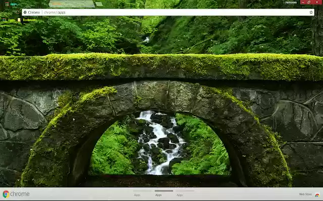 Nature bridge  from Chrome web store to be run with OffiDocs Chromium online