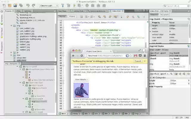 NetBeans Connector  from Chrome web store to be run with OffiDocs Chromium online