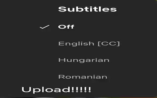 Netflix custom subtitles from Chrome web store to be run with OffiDocs Chromium online Netflix custom subtitles from Chrome web store to be run with OffiDocs Chromium online