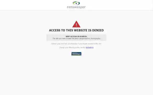 Netsweeper Client Filter  from Chrome web store to be run with OffiDocs Chromium online