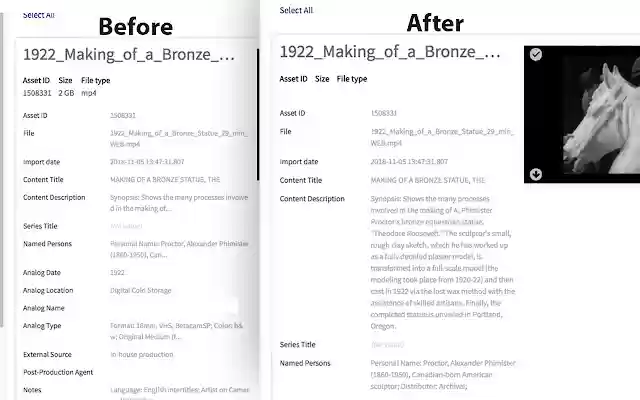 NetX wrapped  from Chrome web store to be run with OffiDocs Chromium online