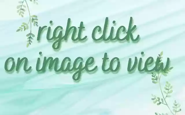 New Tab Image Viewer  from Chrome web store to be run with OffiDocs Chromium online