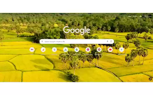 Đồng lúa  from Chrome web store to be run with OffiDocs Chromium online