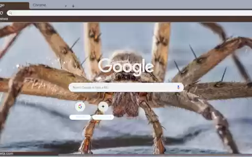 Nhen  from Chrome web store to be run with OffiDocs Chromium online
