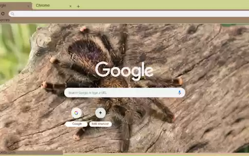 Nhen Rung  from Chrome web store to be run with OffiDocs Chromium online