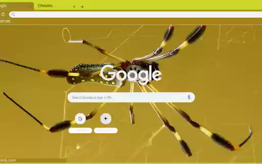 Nhen Vang from Chrome web store to be run with OffiDocs Chromium online Nhen Vang from Chrome web store to be run with OffiDocs Chromium online