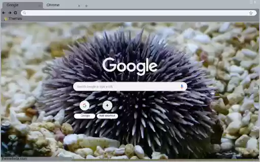 Nhim Bien  from Chrome web store to be run with OffiDocs Chromium online