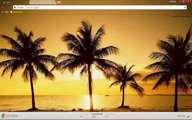 Nice Palm tree  from Chrome web store to be run with OffiDocs Chromium online