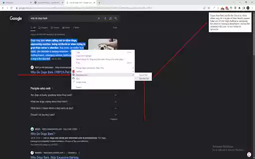 Niche Voyage  from Chrome web store to be run with OffiDocs Chromium online
