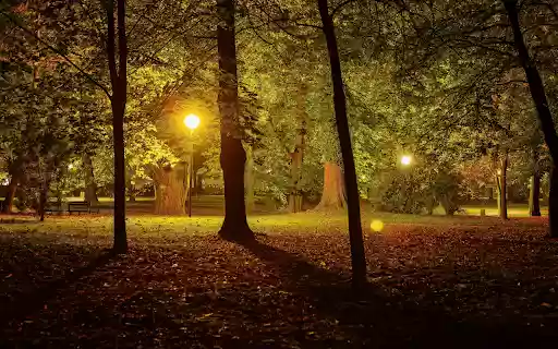 Night park  from Chrome web store to be run with OffiDocs Chromium online