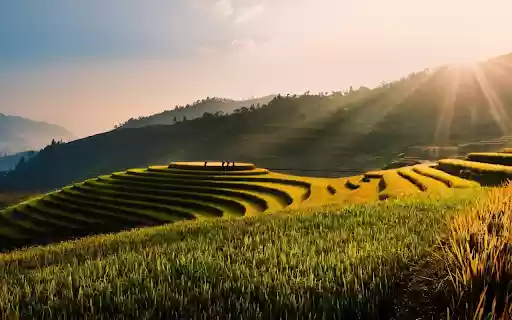 Nine terraced fields  from Chrome web store to be run with OffiDocs Chromium online
