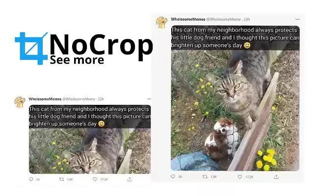 NoCrop for Twitter  from Chrome web store to be run with OffiDocs Chromium online